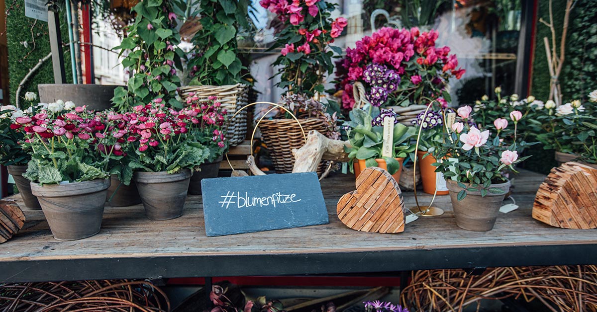 Blumen Fitze