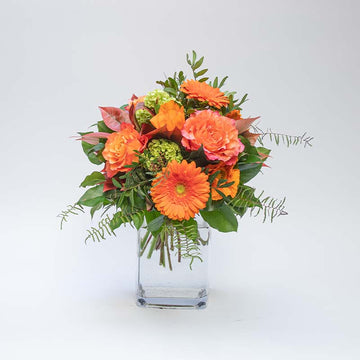 Sträusse Feuer & Flamme