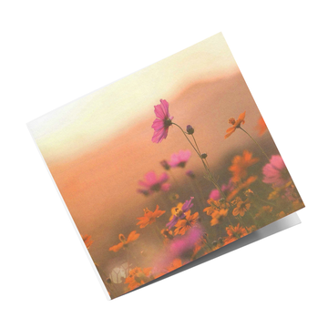 Grusskarte Blumenwiese