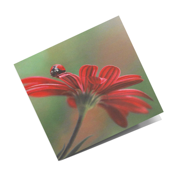 Grusskarte Marienkäfer
