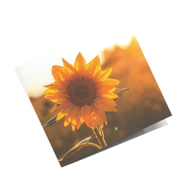 Grusskarte Sonnenblume