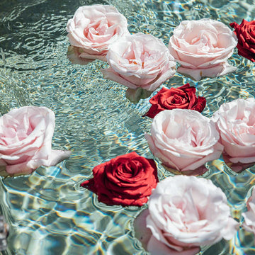 Ein Brunnen voller Rosen und noch viel mehr