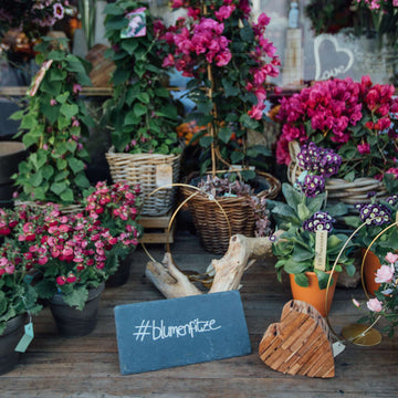 Schauen Sie bei uns vorbei, wir freuen uns!