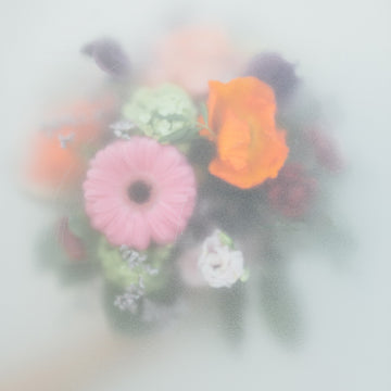 Sträusse "catch of the week"